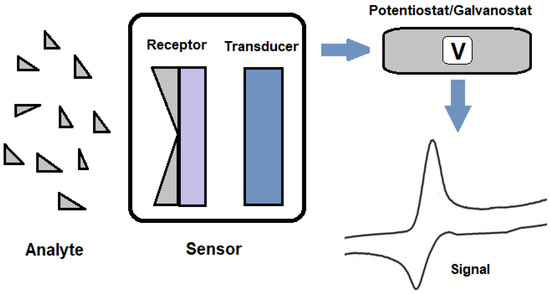 Polymers 15 03539 g002