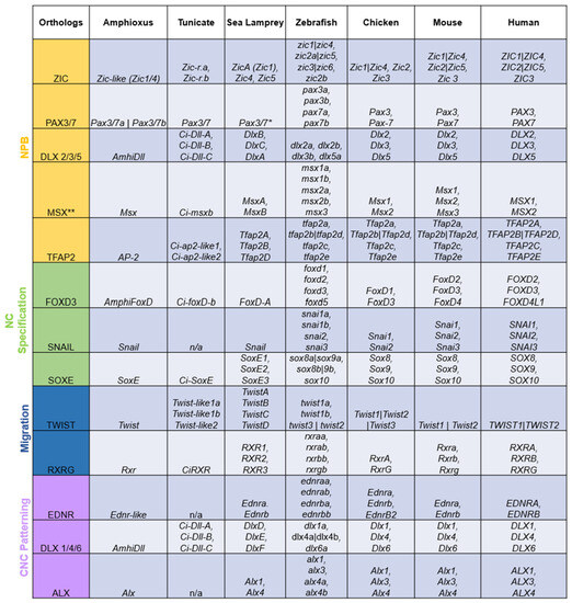 Biology 12 01213 g002