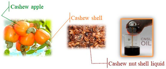 Nanomaterials 13 02486 g001