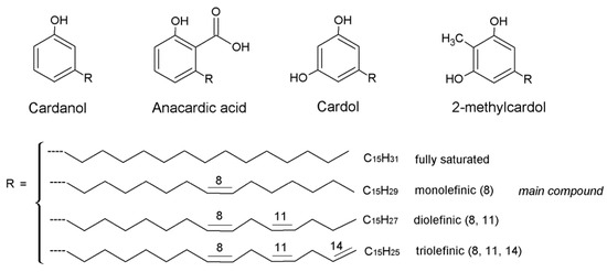 Nanomaterials 13 02486 g002