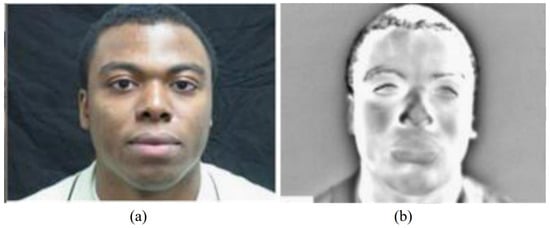 Applsci 13 10891 g018