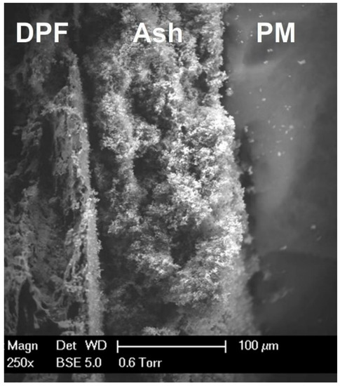 Molecules 28 06884 g002