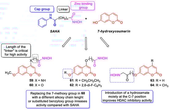 Pharmaceuticals 16 01732 g029