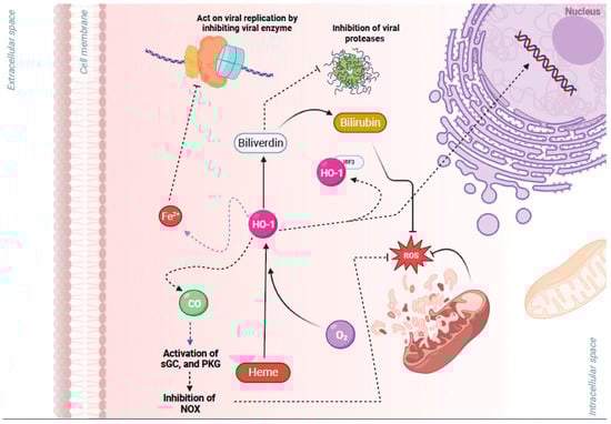 Pathogens 13 00039 g002