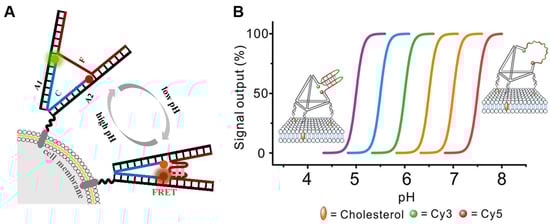 Molecules 29 00267 g002
