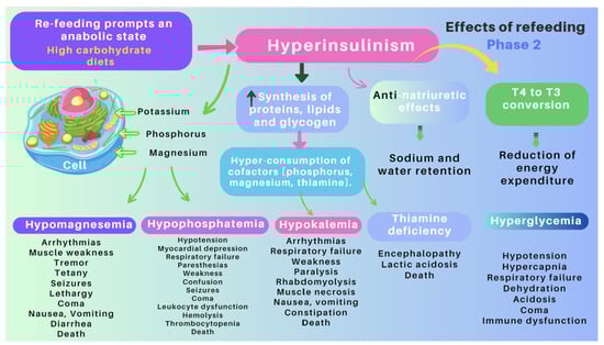 Nutrients 16 00246 g008