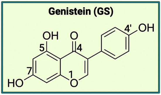 Brainsci 14 00096 g002