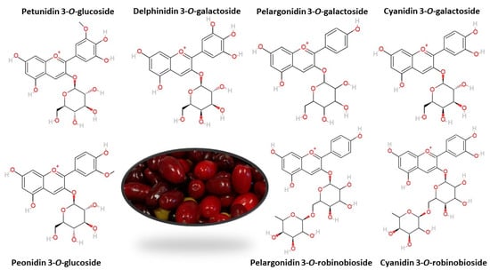Molecules 29 00449 g002