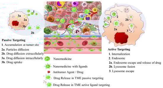 Pharmaceutics 16 00179 sch002