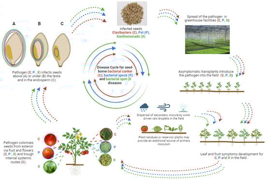 Sustainability 16 01808 g002