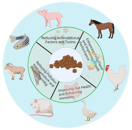 Antioxidants 13 00305 g001