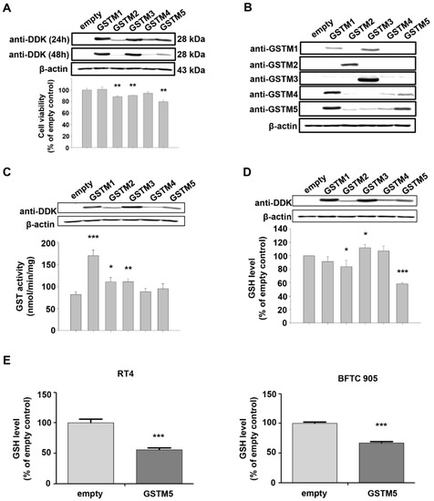 Ijms 22 03056 g003 550