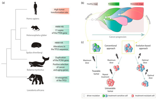 Life 11 00072 g003 550
