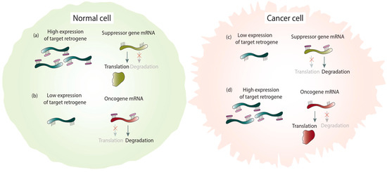 Life 11 00072 g004 550