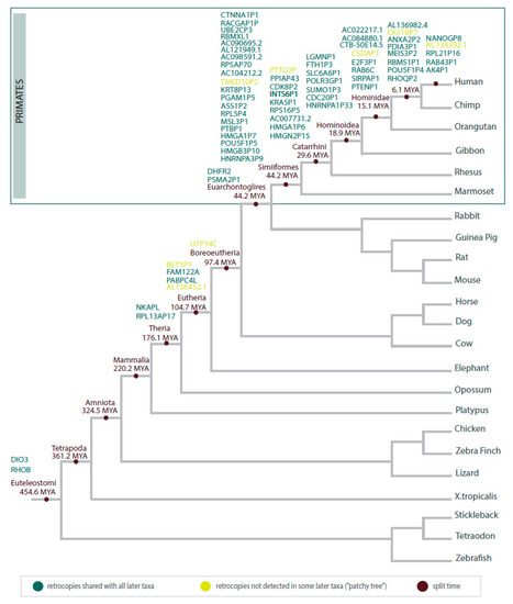 Life 11 00072 g005 550