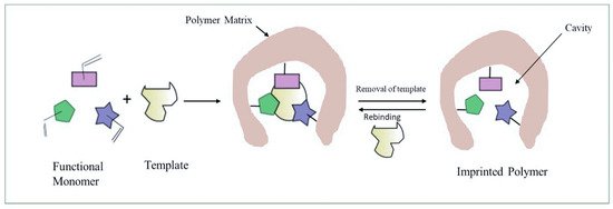 Materials 14 01083 g001 550