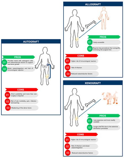 Polymers 13 01095 g001 550