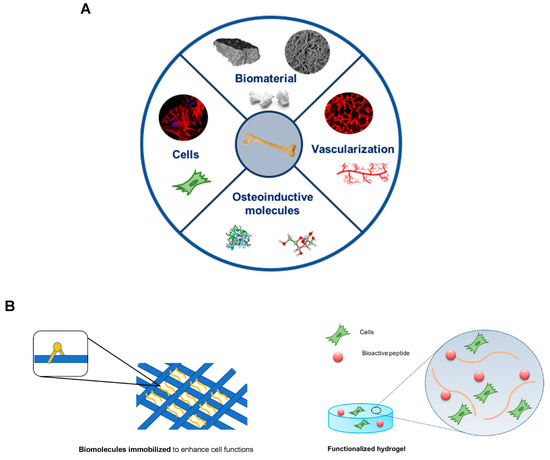 Polymers 13 01095 g002 550