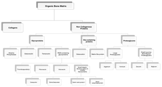 Polymers 13 01095 g003 550