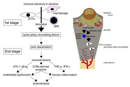Ijms 22 02572 g001 550