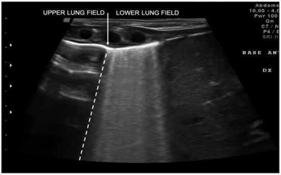 Diagnostics 11 00652 g005 550