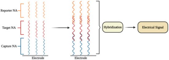 Micromachines 12 00390 g002 550