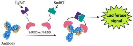 Micromachines 12 00390 g004 550