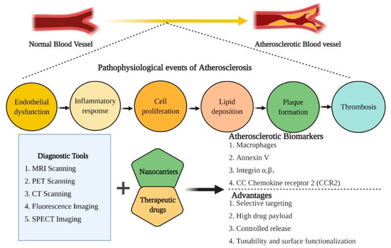 Pharmaceutics 13 00348 g003 550