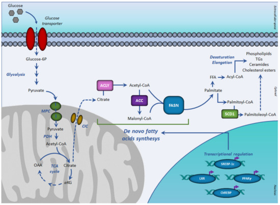 Ijerph 18 03575 g001 550