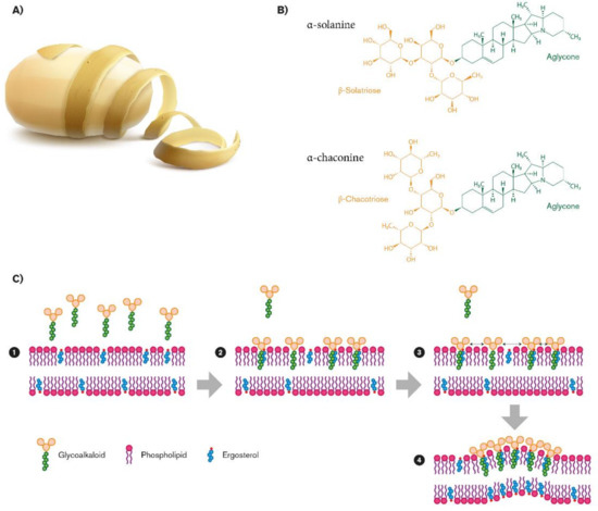 Molecules 26 02174 g001 550