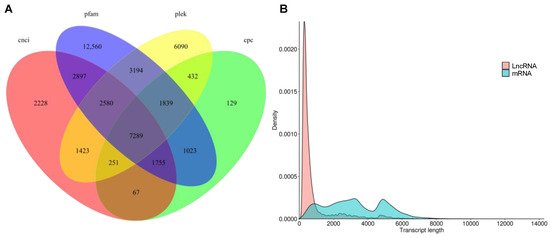 Plants 10 00655 g006 550