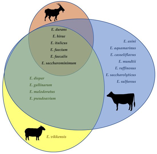 Foods 10 00821 g001 550