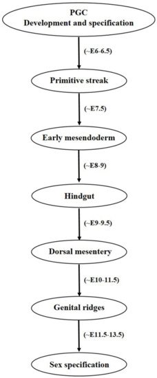 Ijms 22 01979 g002 550