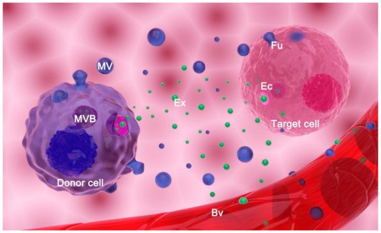 Ijms 22 03887 g001 550