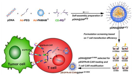 Ijms 22 02912 g007 550