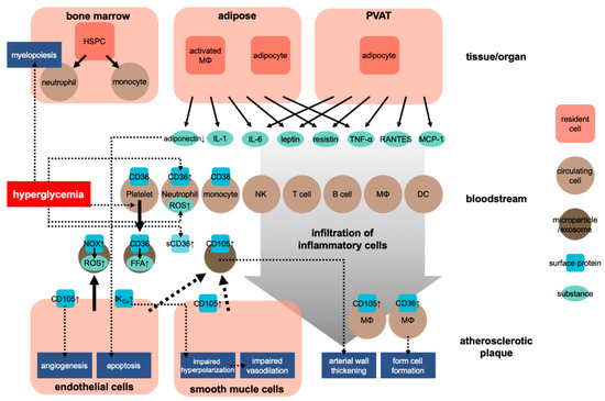 Ijms 22 04108 g001 550