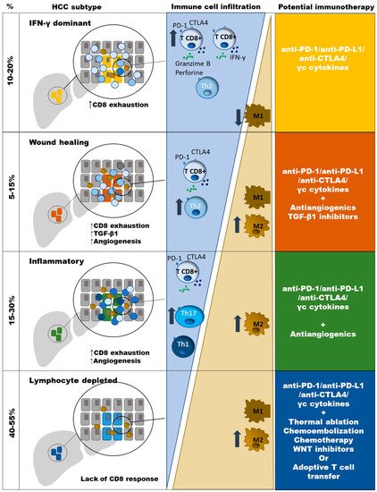 Cancers 13 01922 g001 550