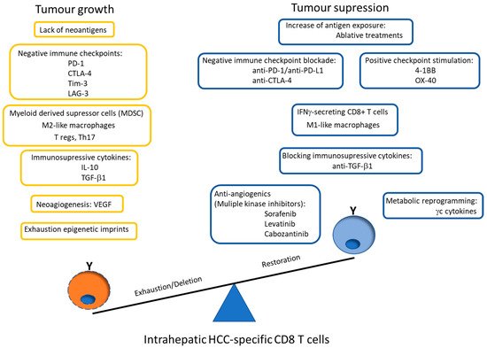Cancers 13 01922 g003 550