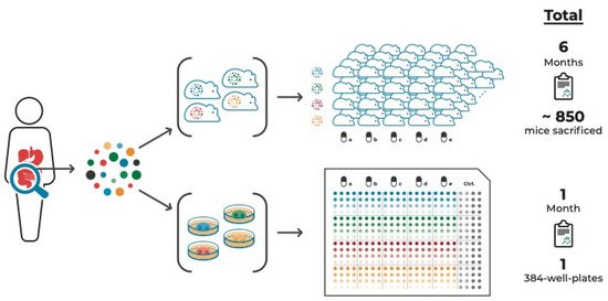 Cells 10 00928 g001 550