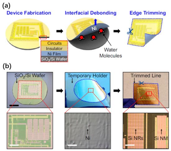 Nanomaterials 11 00842 g013 550