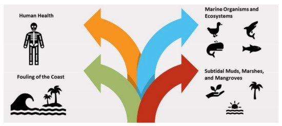 Ijerph 18 02226 g003 550