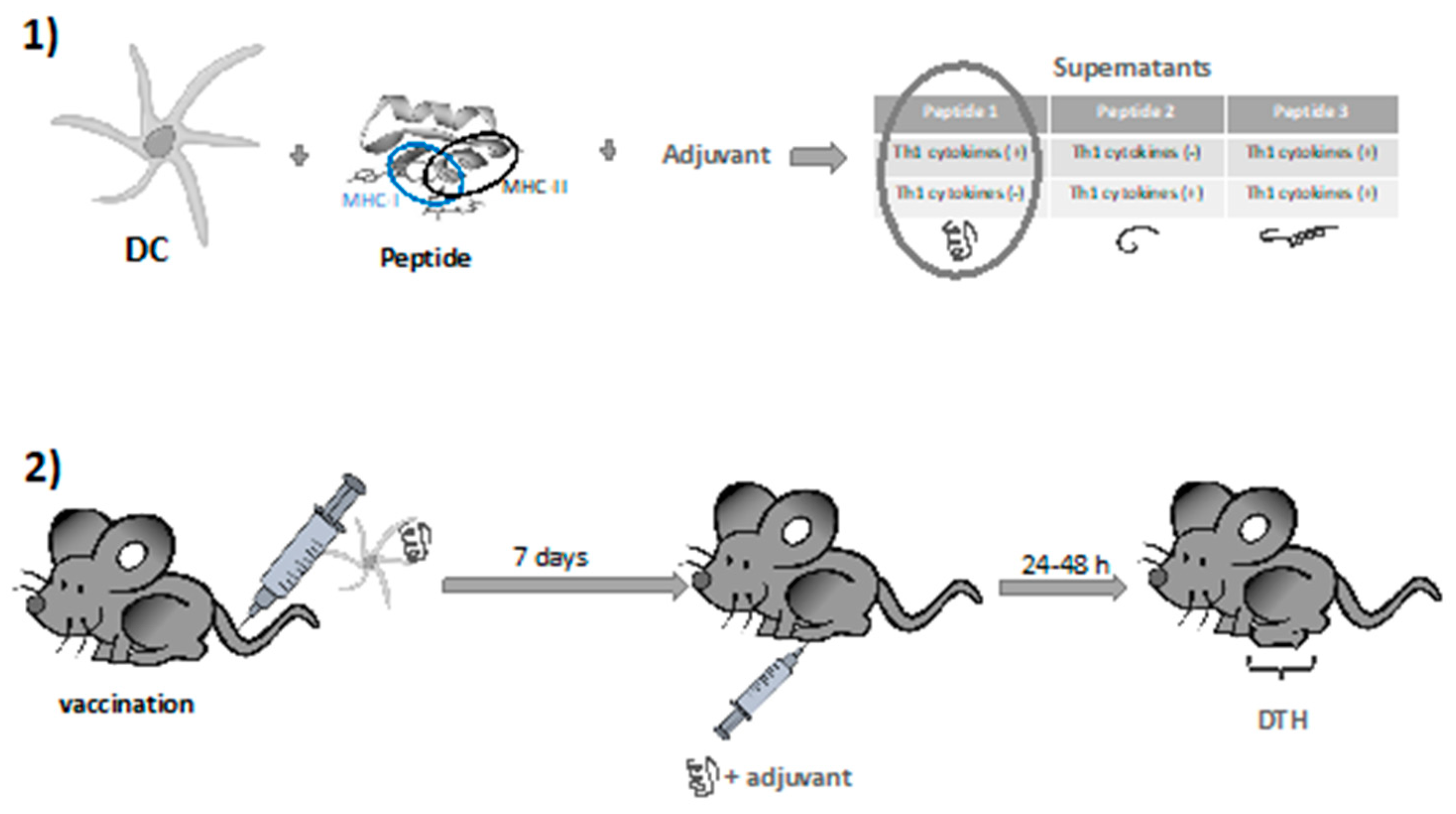 Pharmaceutics 13 00501 g002