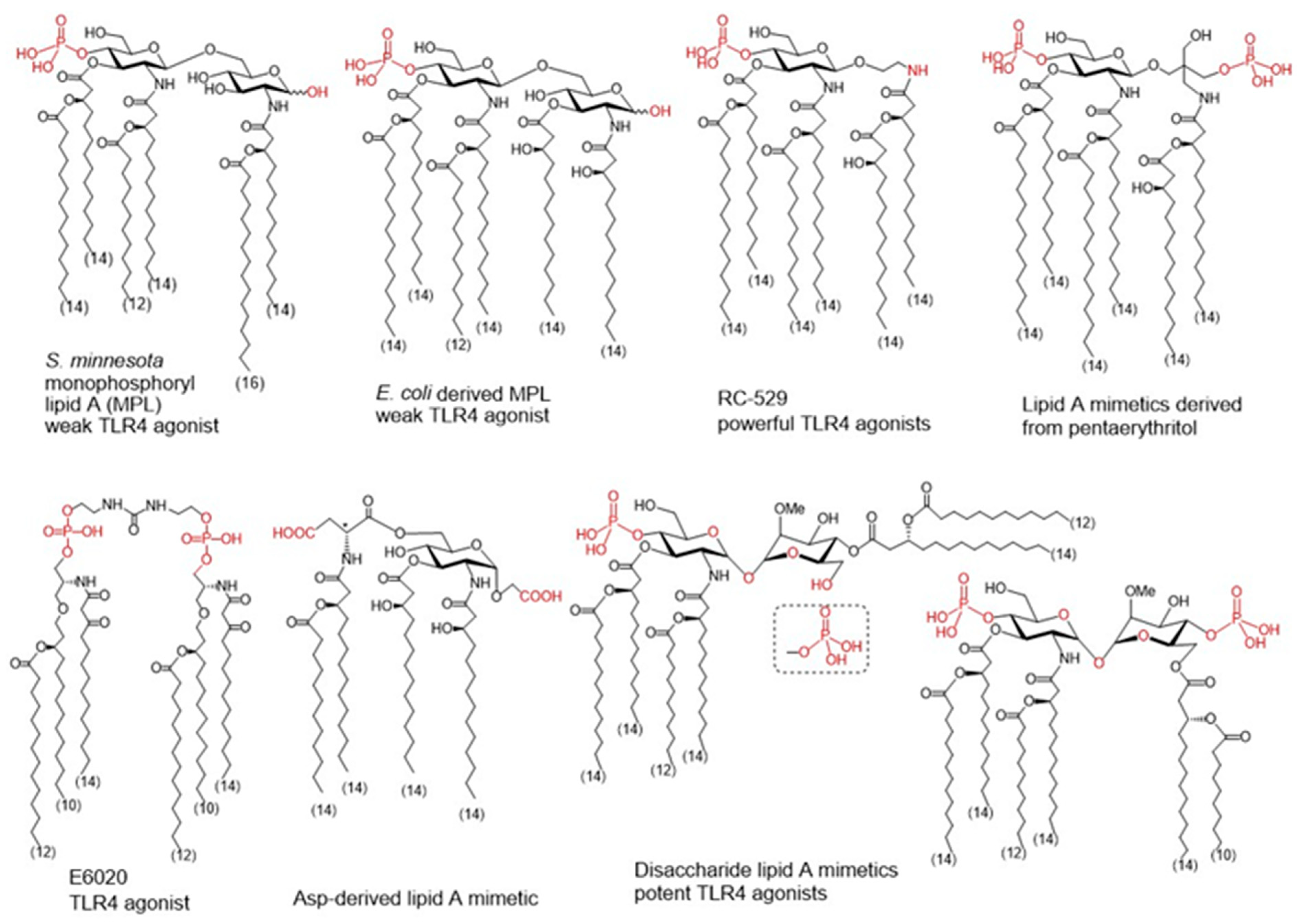 Pharmaceutics 13 00501 g003