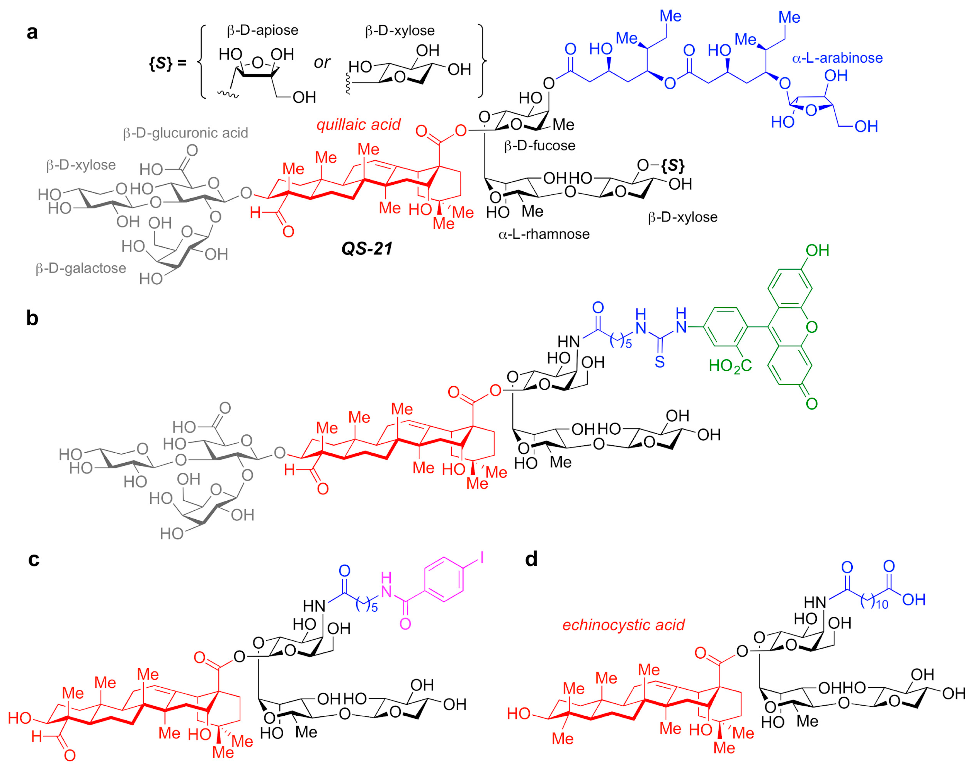 Pharmaceutics 13 00501 g005