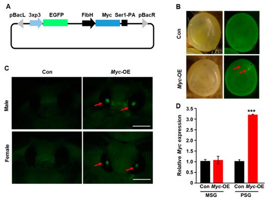 Insects 12 00361 g001 550