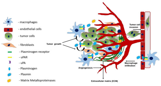 Cancers 13 01838 g003 550
