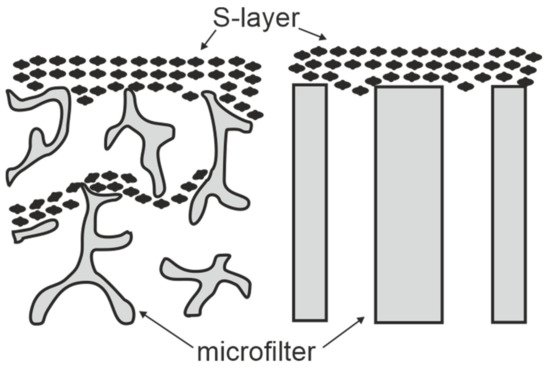 Membranes 11 00275 g003 550