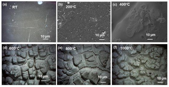 Fibers 09 00023 g006 550