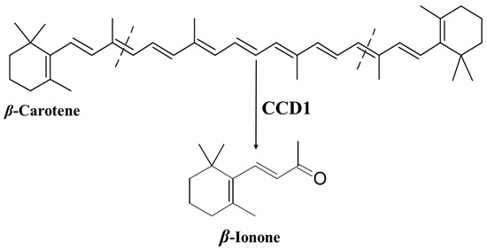Plants 10 00754 g001 550