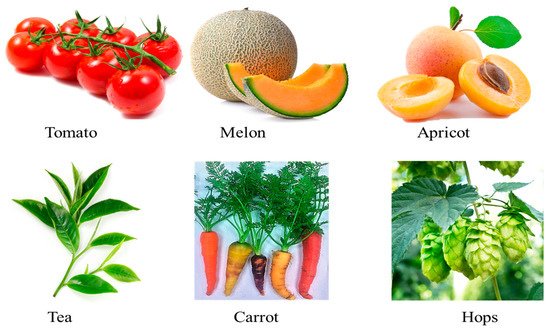 Plants 10 00754 g003 550